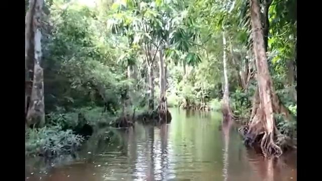 Lary Morales - Indian Kuka Nani смотреть онлайн