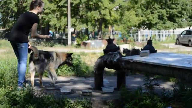 Маленькие радости смотреть онлайн