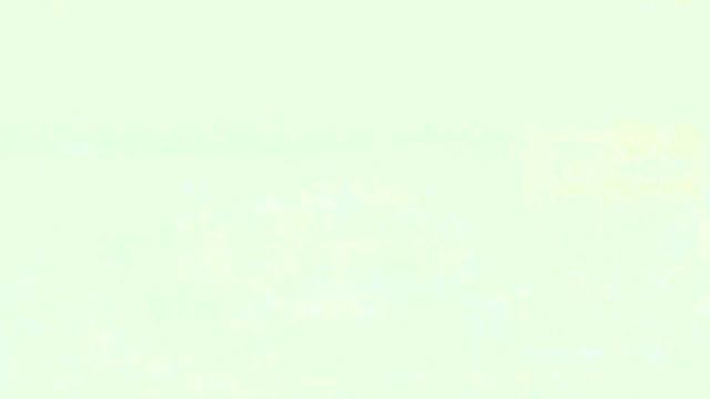 Need For Speed Unbound +20 Trainer смотреть онлайн