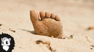 11-ЛЕТНИЙ МАЛЬЧИК НАШЕЛ ДЕВОЧКУ ЗАКОПАННУЮ В ПЕСКЕ. И ВОТ ЧТО СЛУЧИЛОСЬ ДАЛЬШЕ...