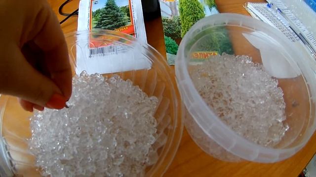 Семена Туи и пихты/Гидрогель смотреть онлайн