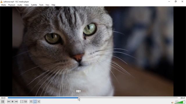 Save/Export/Render Video in OpenShot - Easy Tutorial смотреть онлайн