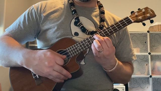 Ashitaka & San - Princess Mononoke - Ghibli Ukulele смотреть онлайн