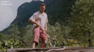 АЛЕКС КАРДО ТРЕНИРОВКА.