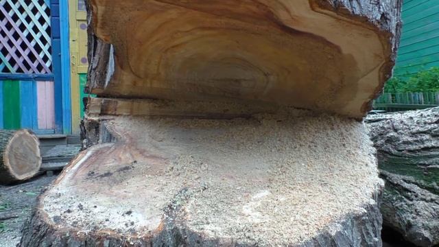 Привязали ствол дерева к трактору и спилили смотреть онлайн