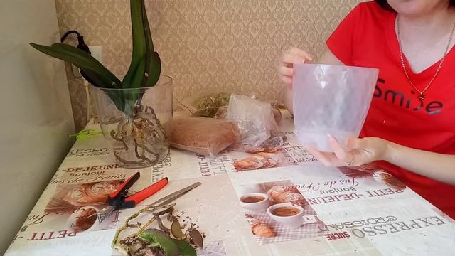 Лучшая система посадки орхидей.Корни не будут гнить смотреть онлайн