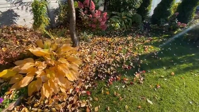 Мой осенний сад ???начало октября смотреть онлайн