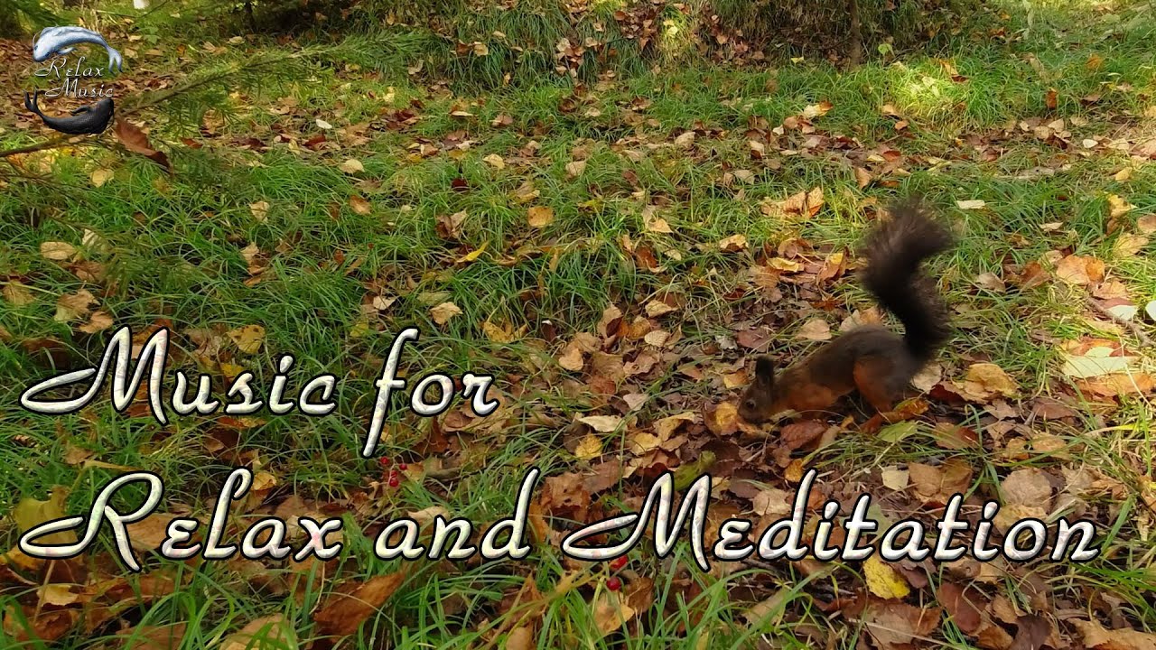 Спокойная музыка для Медитации и Снятия стресса. Звуки природы. смотреть онлайн