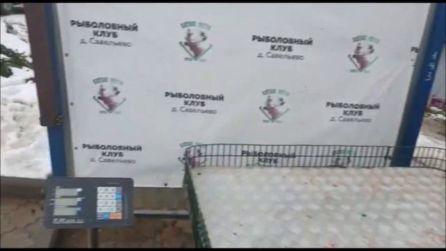 Пару хороших уловов с первого сектора. Клевое место д. Саввельево. смотреть онлайн