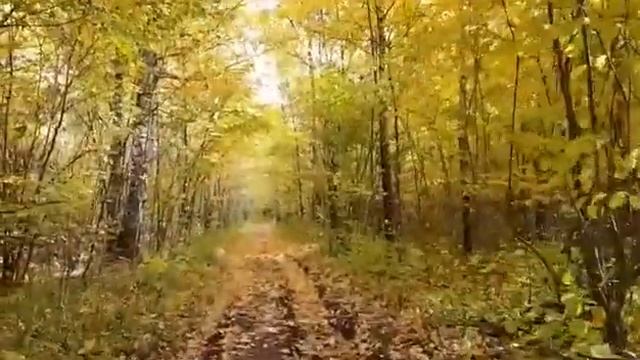 Отговорила роща золотая...(последние дни сентября) смотреть онлайн
