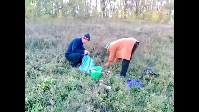 Поляна грибов смотреть онлайн