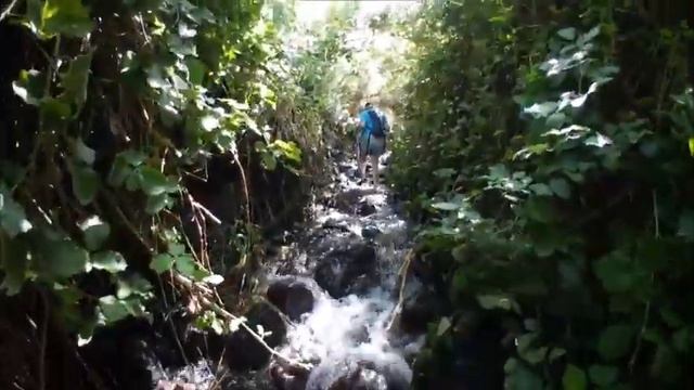 Путешествия по стране Израиль Голанские высоты Ручей Дибша ч 1 смотреть онлайн