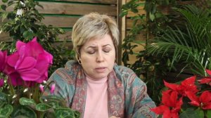 Стимуляторы роста растений. Для чего нужны стимуляторы роста? NOVA