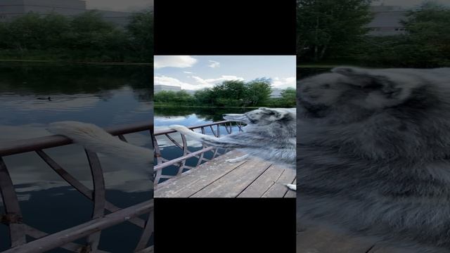 Акита-ребёнок смотреть онлайн