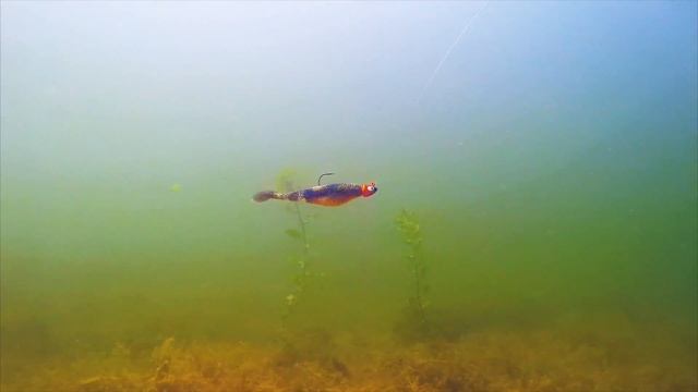 Fishing Tip - Berkley Pro Series S12E05 смотреть онлайн