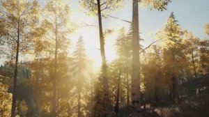 Песня Три желания