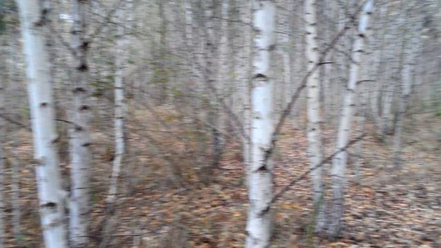 Дикие места Винницкой области №5 смотреть онлайн