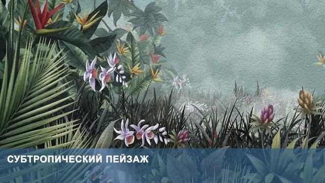 3D Фотообои «Субтропический пейзаж» смотреть онлайн