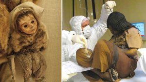 Шокирующие Вещи, Найденные Во Льдах! (2 Часть)