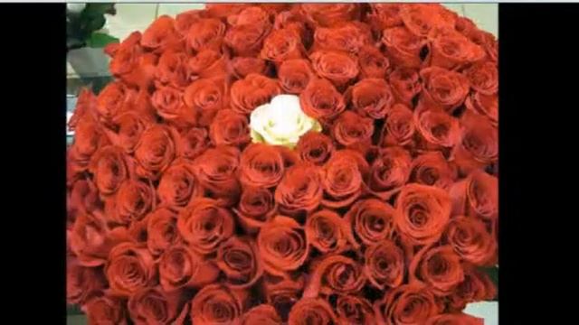 ВСЕМ ЕЛЕНАМ НАШЕГО СООБА ПОСВЯЩАЕТСЯ ОТ КОЛОМАЦКОГО М смотреть онлайн