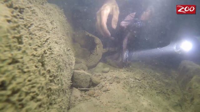 Hellbender Release смотреть онлайн