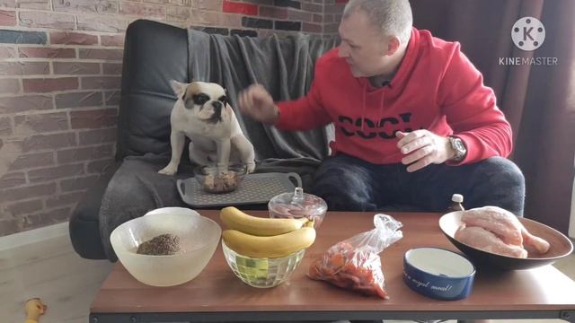 РАЦИОН ПИТАНИЯ. Французский бульдог. АЛЛЕРГИЯ. смотреть онлайн