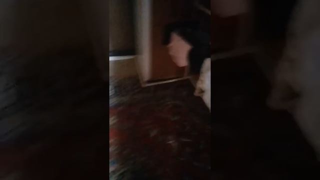 как зарегистрирыватся в иксбокс лайв (я смог) смотреть онлайн