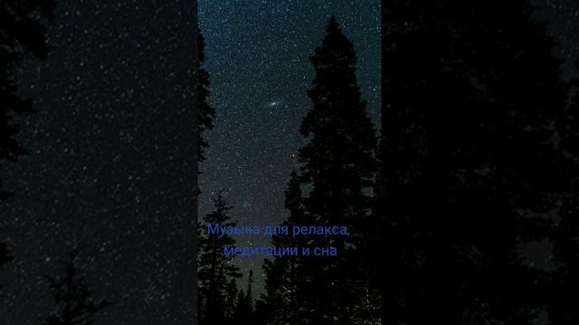 песня для сна звуки леса смотреть онлайн