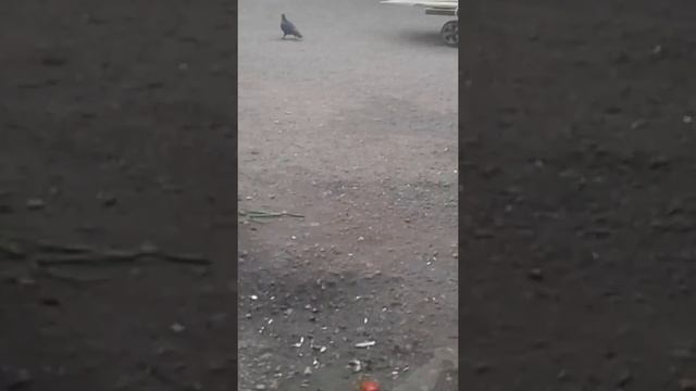 ufa chernikovka смотреть онлайн