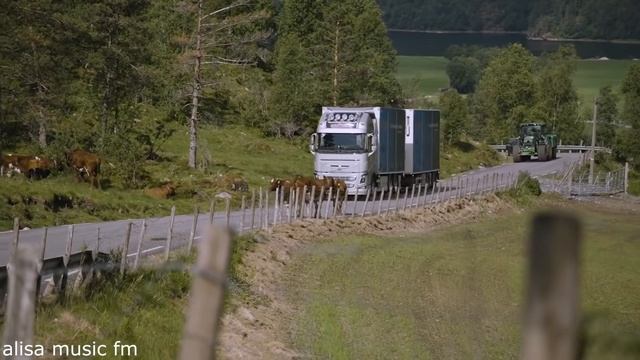 D.White - All the story is history.mp4 смотреть онлайн