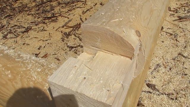 Запил лапы. Видео №1 смотреть онлайн