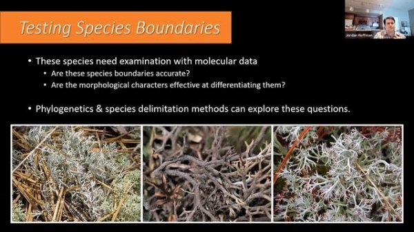 Conservation, Comparative Genomics, and Species Delimitation of the Reindeer Lichens