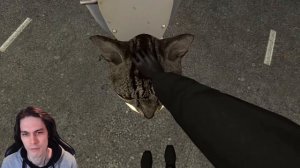 СКИБИДИ КОТИКИ