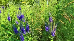 Сергей Любавин - Признание