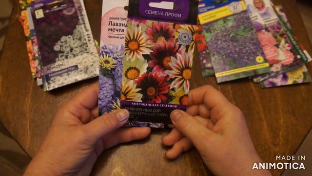 Обзор семян однолетних цветов: что планирую сеять. Интересные новинки. смотреть онлайн