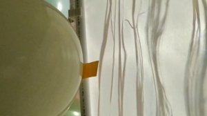 Разборная фотозона за 30 минут из полипропиленовых труб! Легко сделать своими руками