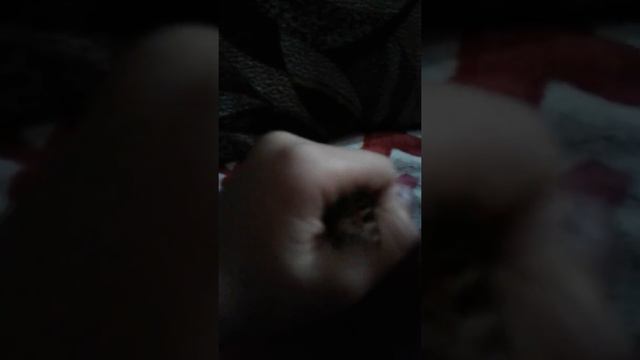 Бабочка на руке смотреть онлайн