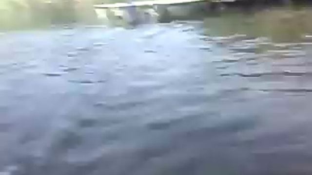 Ловля и приготовления лягушек.mp4 смотреть онлайн