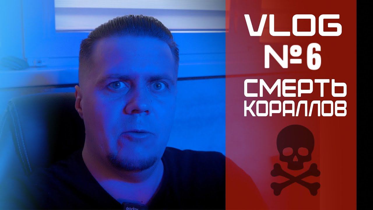 VLOG 6 Смерть Кораллов смотреть онлайн