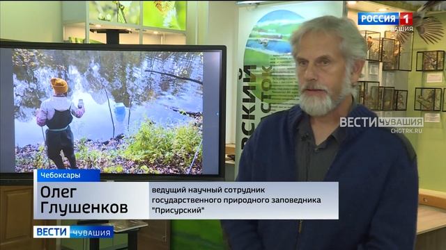 В заповеднике "Присурский" пересчитывали выхухолей смотреть онлайн