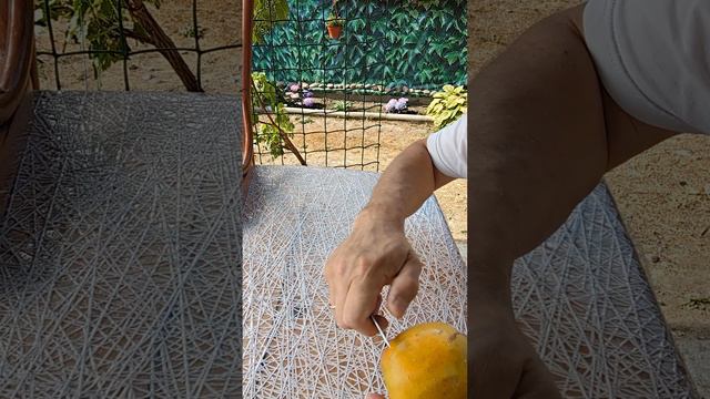 Почему яблоки нужно не мыть, а счищать с них кожуру смотреть онлайн