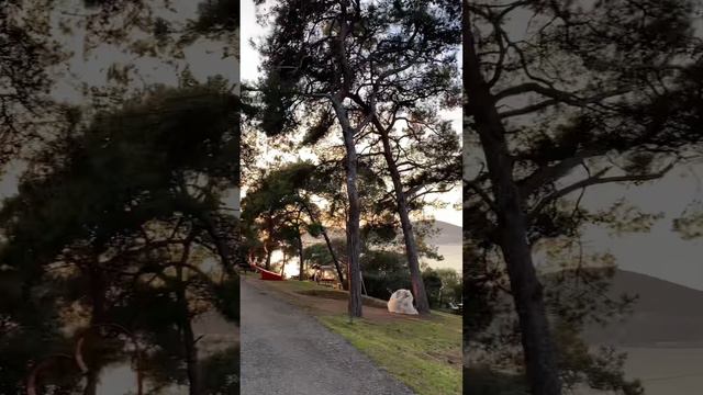 Уникальное место без машин / Принцевы острова #стамбул смотреть онлайн