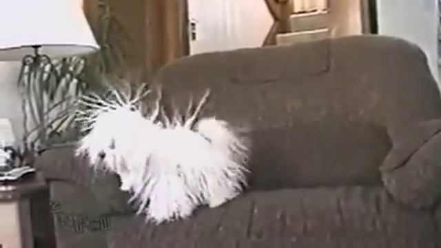 электризуется смотреть онлайн