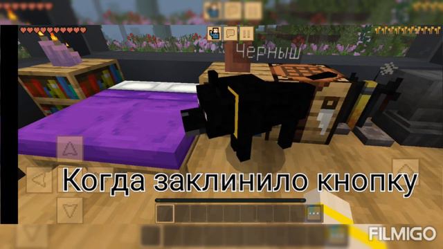 Это видео поймут только те люди которые дружат с юмором🤣🤣🤣🤣🤣😂😂😂😂 смотреть онлайн