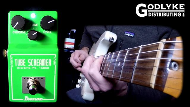 Ibanez TS808 TAMURA-MOD Tube Screamer смотреть онлайн