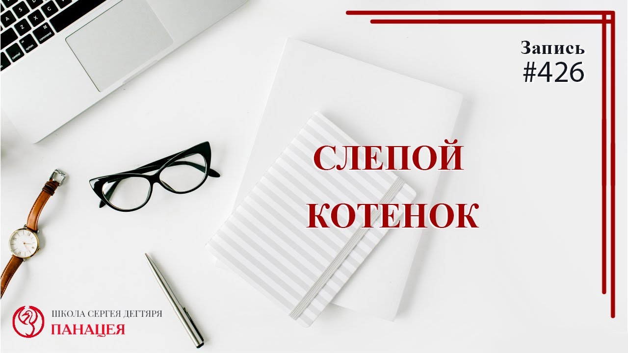 Слепой котенок / записи Нарколога #426