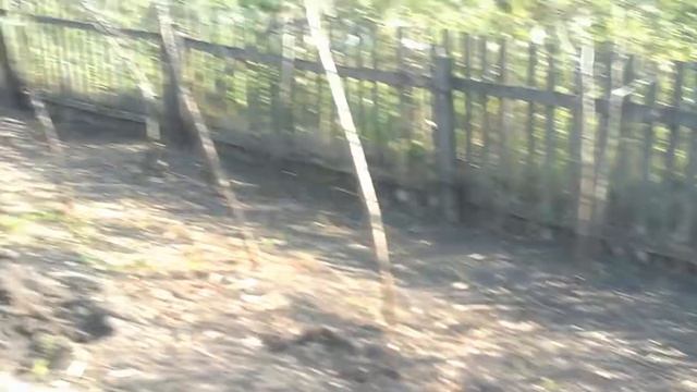 Купили дачу(1) смотреть онлайн
