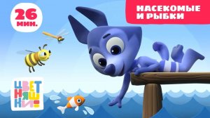 Цветняшки — Насекомые и рыбки — Сборник — Развивающий мультик для малышей