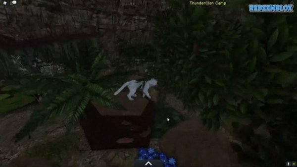 (May 2022) [NEW] "WARRIOR CATS ULTIMATE EDITION" Roblox Codes | Latest Warrior Cats Codes 2022