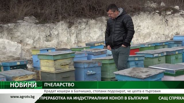 Крадат кошери в Балчишко, стопани подозират, че целта е търговия смотреть онлайн